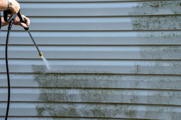 Best Residential Junk Removal  in Clton, IN