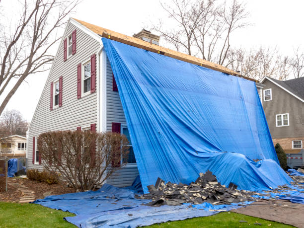 Best Construction Debris Removal  in Clton, IN